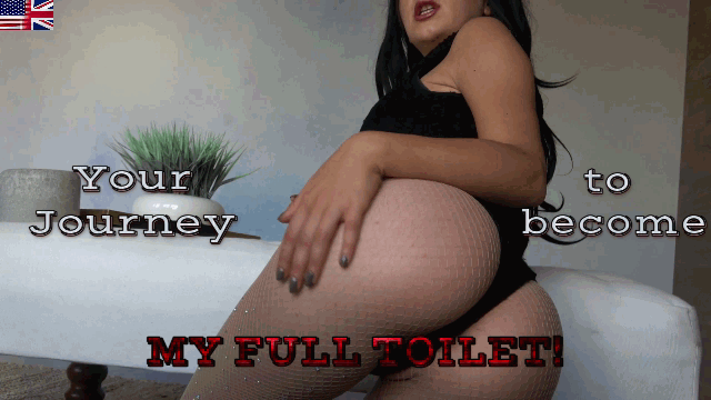 Your journey to become my full toilet!