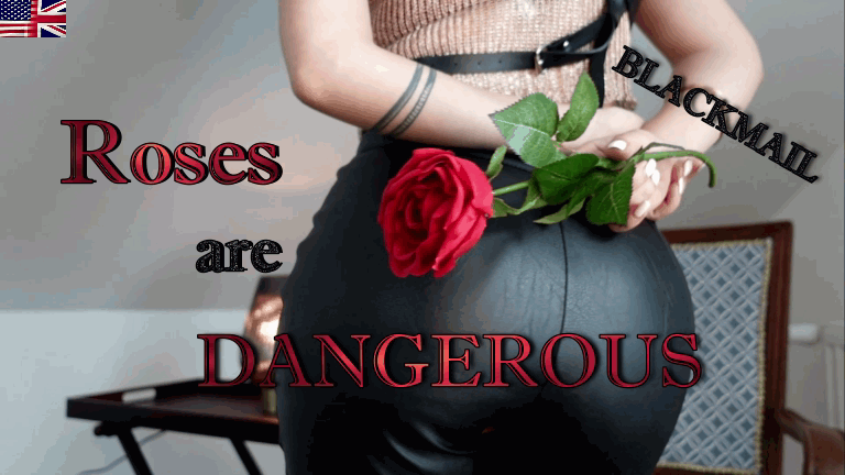 Blackmail - Roses are Dangerous