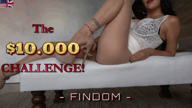 The 10k Findom-Challenge!